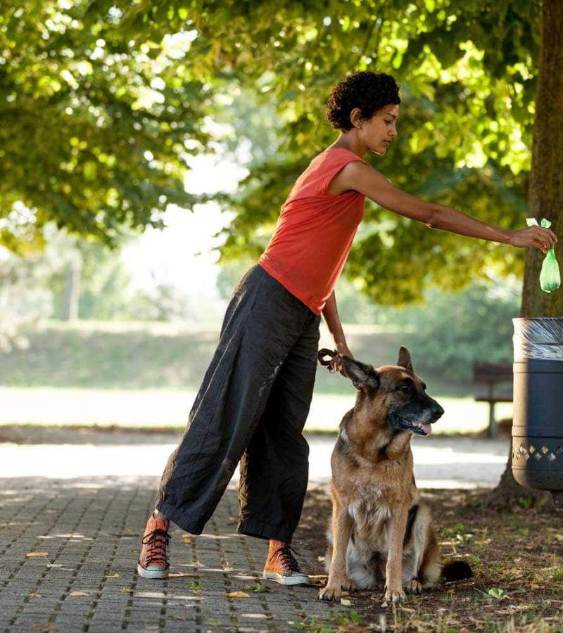 Depositphotos_33430281